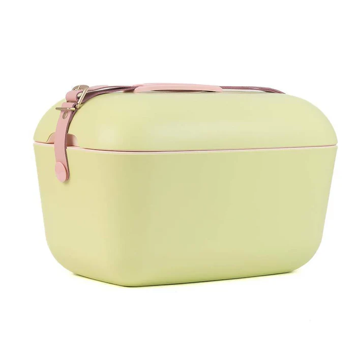 Cooler Retro 20l - Lima com Roxo